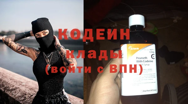 индика Заволжск